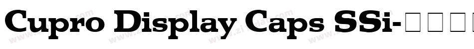 Cupro Display Caps SSi字体转换